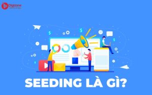 Seeding là gì?