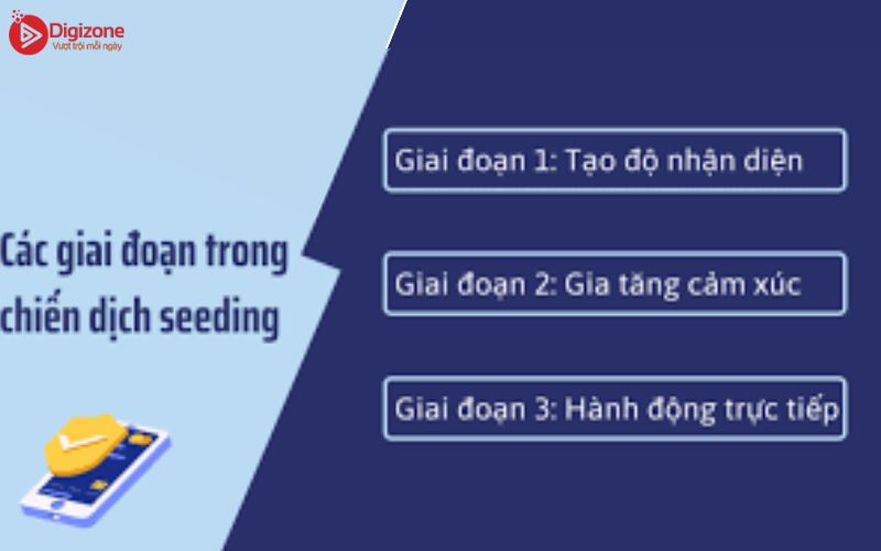 Các giai đoạn của Seeding